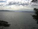 ./images/koeye/fitz-hugh/20210719/fitz-hugh20210719_160001.jpg