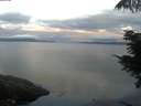 ./images/koeye/fitz-hugh/20210720/fitz-hugh20210720_060001.jpg