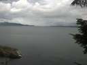./images/koeye/fitz-hugh/20210720/fitz-hugh20210720_080002.jpg