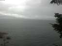 ./images/koeye/fitz-hugh/20210720/fitz-hugh20210720_120001.jpg