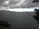 ./images/koeye/fitz-hugh/20210720/fitz-hugh20210720_160001.jpg