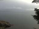 ./images/koeye/fitz-hugh/20210721/fitz-hugh20210721_080002.jpg