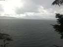 ./images/koeye/fitz-hugh/20210721/fitz-hugh20210721_140002.jpg