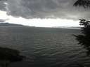 ./images/koeye/fitz-hugh/20210721/fitz-hugh20210721_180001.jpg