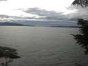 ./images/koeye/fitz-hugh/20210722/fitz-hugh20210722_160002.jpg