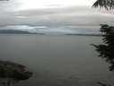 ./images/koeye/fitz-hugh/20210725/fitz-hugh20210725_060002.jpg