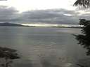./images/koeye/fitz-hugh/20210725/fitz-hugh20210725_180002.jpg