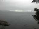 ./images/koeye/fitz-hugh/20210726/fitz-hugh20210726_060002.jpg