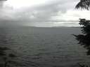 ./images/koeye/fitz-hugh/20210726/fitz-hugh20210726_140002.jpg