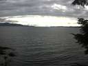 ./images/koeye/fitz-hugh/20210726/fitz-hugh20210726_180002.jpg