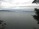 ./images/koeye/fitz-hugh/20210728/fitz-hugh20210728_060001.jpg