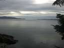 ./images/koeye/fitz-hugh/20210728/fitz-hugh20210728_080002.jpg