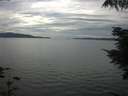 ./images/koeye/fitz-hugh/20210728/fitz-hugh20210728_160001.jpg