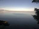 ./images/koeye/fitz-hugh/20210729/fitz-hugh20210729_080001.jpg