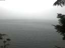 ./images/koeye/fitz-hugh/20210730/fitz-hugh20210730_060001.jpg
