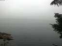 ./images/koeye/fitz-hugh/20210730/fitz-hugh20210730_080001.jpg