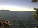 ./images/koeye/fitz-hugh/20210730/fitz-hugh20210730_140001.jpg
