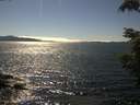 ./images/koeye/fitz-hugh/20210730/fitz-hugh20210730_160002.jpg