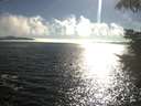 ./images/koeye/fitz-hugh/20210730/fitz-hugh20210730_180002.jpg