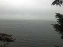 ./images/koeye/fitz-hugh/20210731/fitz-hugh20210731_091002.jpg