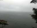 ./images/koeye/fitz-hugh/20210731/fitz-hugh20210731_091502.jpg