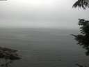 ./images/koeye/fitz-hugh/20210731/fitz-hugh20210731_092501.jpg