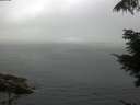./images/koeye/fitz-hugh/20210731/fitz-hugh20210731_093501.jpg