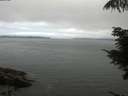 ./images/koeye/fitz-hugh/20210731/fitz-hugh20210731_103501.jpg