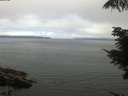 ./images/koeye/fitz-hugh/20210731/fitz-hugh20210731_105002.jpg