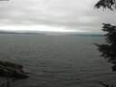 ./images/koeye/fitz-hugh/20210731/fitz-hugh20210731_150001.jpg