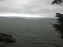 ./images/koeye/fitz-hugh/20210731/fitz-hugh20210731_150501.jpg