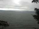./images/koeye/fitz-hugh/20210731/fitz-hugh20210731_151501.jpg