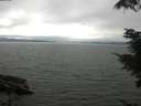 ./images/koeye/fitz-hugh/20210731/fitz-hugh20210731_153501.jpg