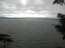 ./images/koeye/fitz-hugh/20210731/fitz-hugh20210731_163002.jpg