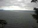 ./images/koeye/fitz-hugh/20210731/fitz-hugh20210731_163502.jpg