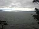 ./images/koeye/fitz-hugh/20210731/fitz-hugh20210731_164002.jpg