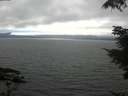 ./images/koeye/fitz-hugh/20210731/fitz-hugh20210731_164502.jpg