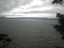 ./images/koeye/fitz-hugh/20210731/fitz-hugh20210731_165002.jpg