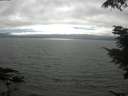 ./images/koeye/fitz-hugh/20210731/fitz-hugh20210731_165502.jpg