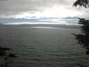 ./images/koeye/fitz-hugh/20210731/fitz-hugh20210731_170502.jpg
