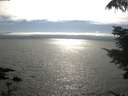./images/koeye/fitz-hugh/20210731/fitz-hugh20210731_171502.jpg