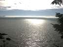 ./images/koeye/fitz-hugh/20210731/fitz-hugh20210731_172002.jpg