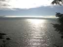 ./images/koeye/fitz-hugh/20210731/fitz-hugh20210731_172501.jpg