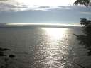 ./images/koeye/fitz-hugh/20210731/fitz-hugh20210731_173001.jpg