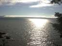 ./images/koeye/fitz-hugh/20210731/fitz-hugh20210731_173501.jpg