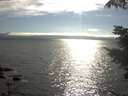 ./images/koeye/fitz-hugh/20210731/fitz-hugh20210731_174001.jpg