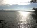 ./images/koeye/fitz-hugh/20210731/fitz-hugh20210731_174501.jpg