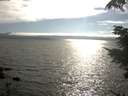 ./images/koeye/fitz-hugh/20210731/fitz-hugh20210731_175001.jpg