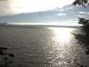 ./images/koeye/fitz-hugh/20210731/fitz-hugh20210731_175501.jpg