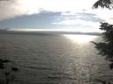 ./images/koeye/fitz-hugh/20210731/fitz-hugh20210731_180001.jpg